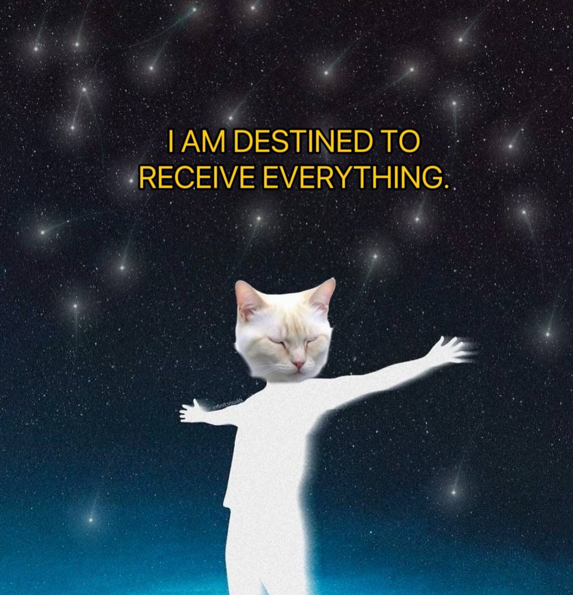 manifestwithsol's tweet photo. that 100k btc feeling https://t.co/AW7eNMb3kq