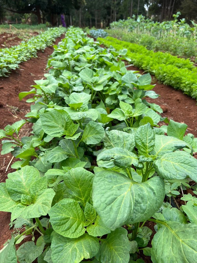 The Farmercist tweet media