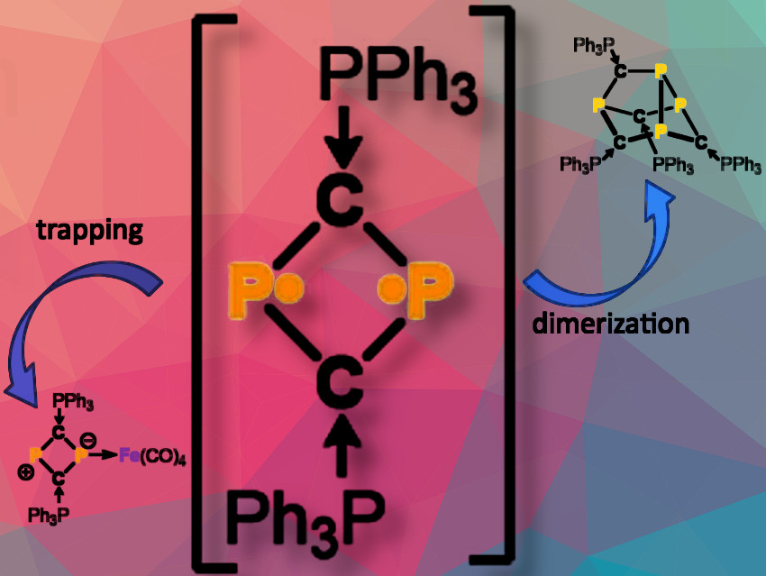 Phosphine-Stabilized P4C4 Cage Compound:
First synthetic access to a phosphine-stabilized P4C4 cage, expanding the exploration of P,C phases in contrast to the well-studied P,N phases
chemistryviews.org/phosphine-stab…
<a href="/CoburgerPeter/">Peter Coburger</a>  <a href="/ETH/">ETH Zürich</a>  <a href="/TU_Muenchen/">TU München</a>