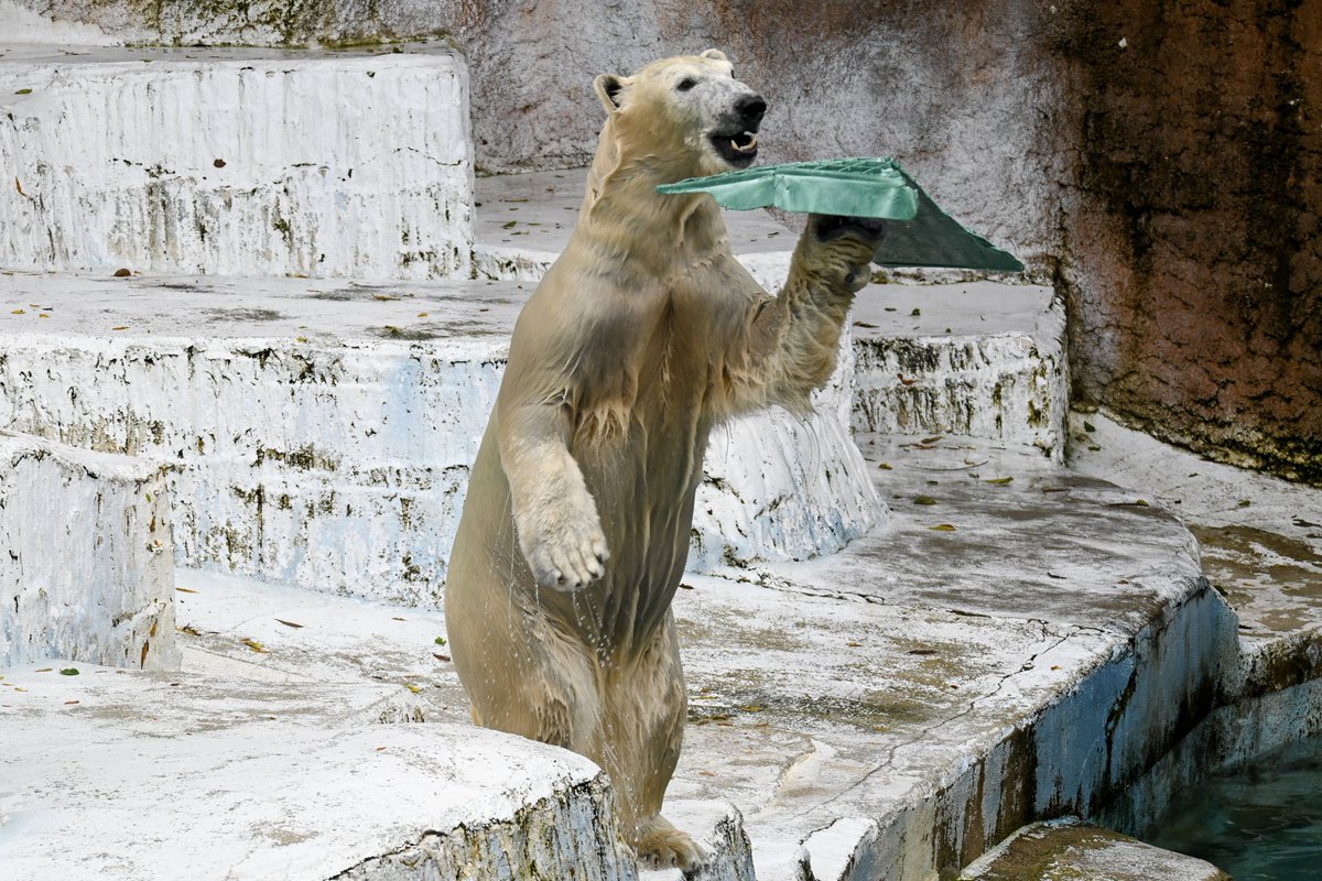 イッちゃん イッちゃん