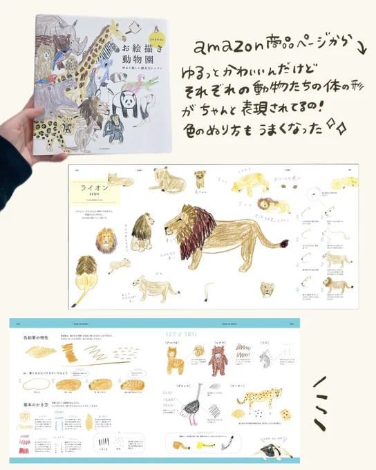 動物園も水族館も
どっちも可愛い🐨 