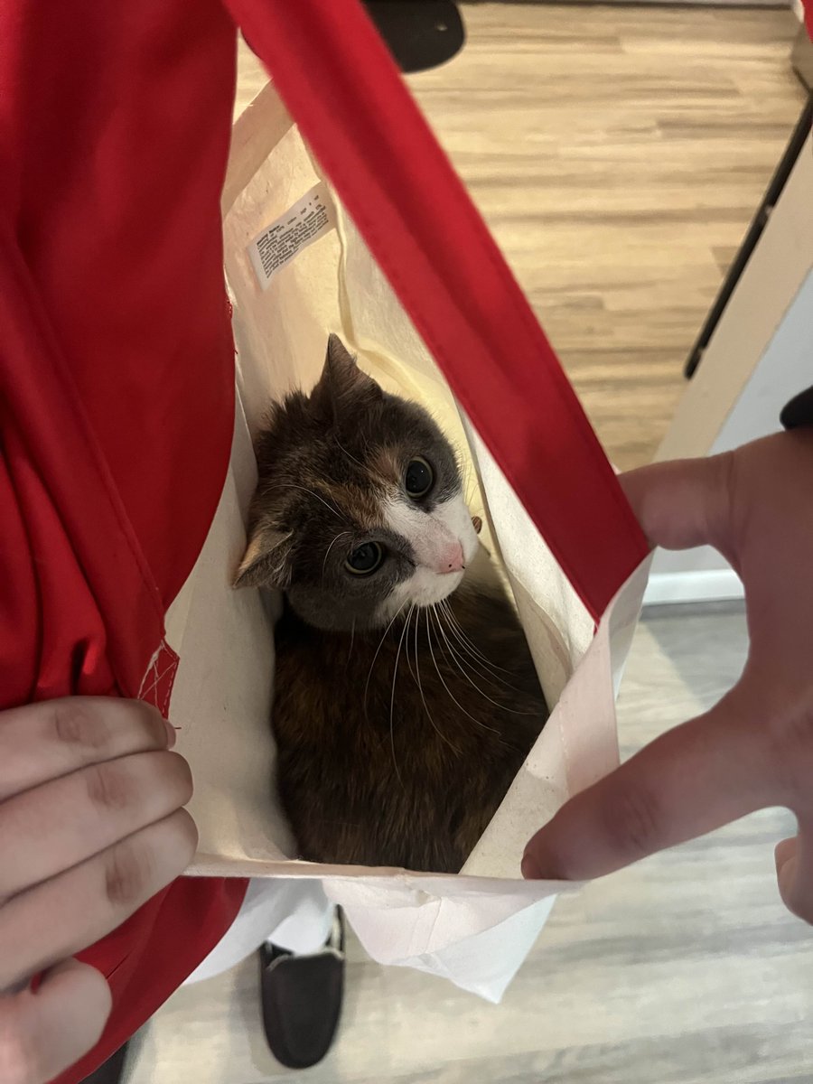 Redbird Overwatch tweet media