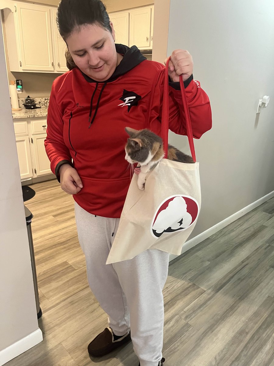 Redbird Overwatch tweet media