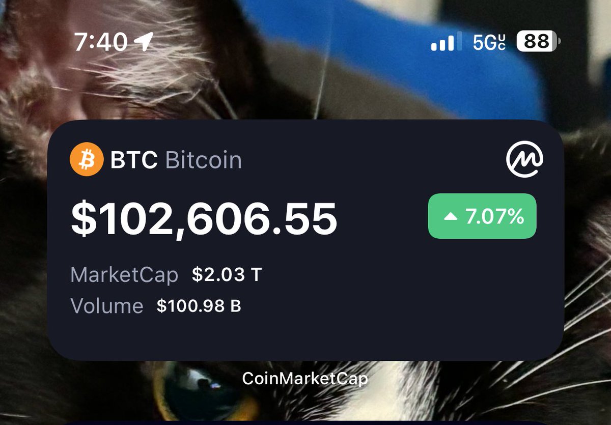 Johnny Switchblade tweet media