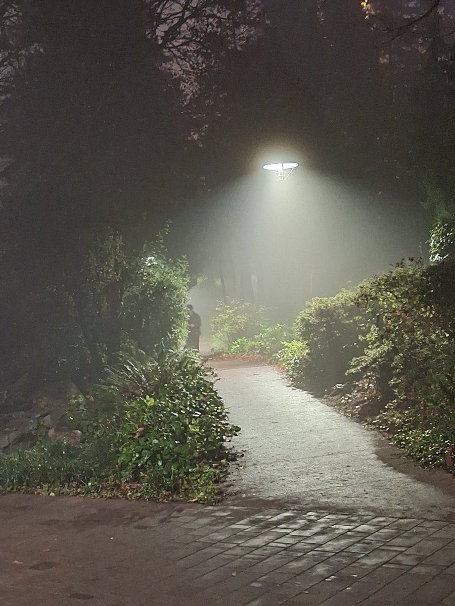 docsparker's tweet image. Foggy night @UBC. @ubclibrary