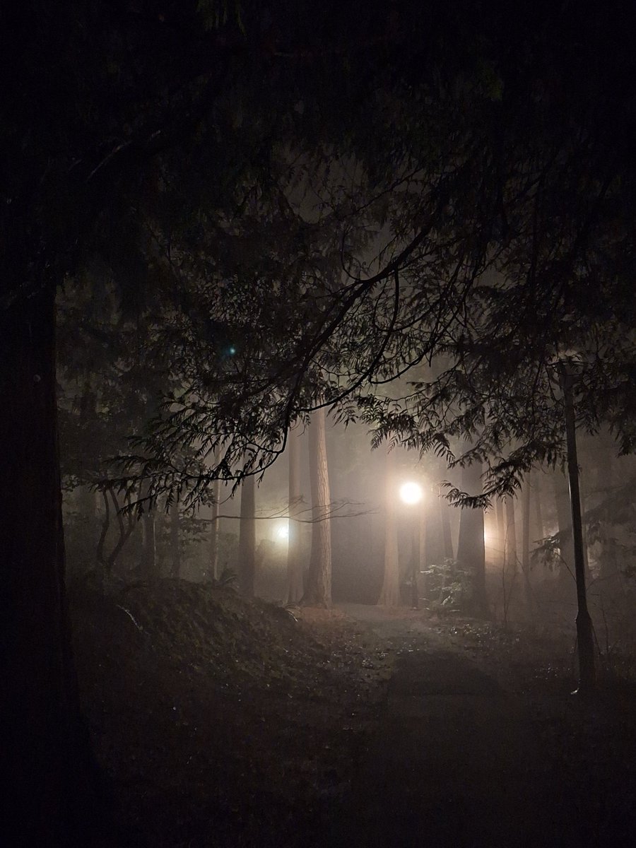 docsparker's tweet image. Foggy night @UBC. @ubclibrary