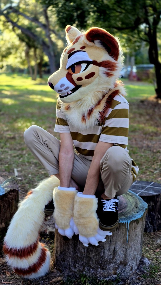 Happy #InternationalCheetahDay !!! Have a chee perch 🐆