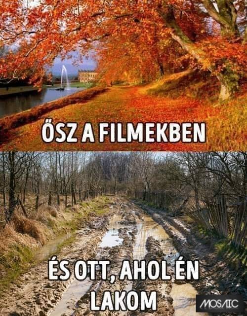 PeteConrad25's tweet photo. Gyönyörű táj 

#Mosaic https://t.co/QX14gCQPGL