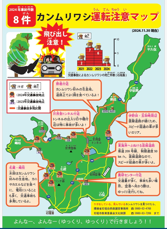 kanmuriwasire's tweet photo. 【カンムリワシ放鳥】 
10/21に石垣市名蔵で交通事故にあい救護されたカンムリワシ、治療とリハビリを終え放鳥しました。
 継続観察され、繁殖も確認されていた個体です。
名前はポイント。元の生活に戻れることを祈ります。

ポイントの右足には黒6の足輪を装着しています。
確認した方はご連絡下さい https://t.co/rwHbrOQ9N6