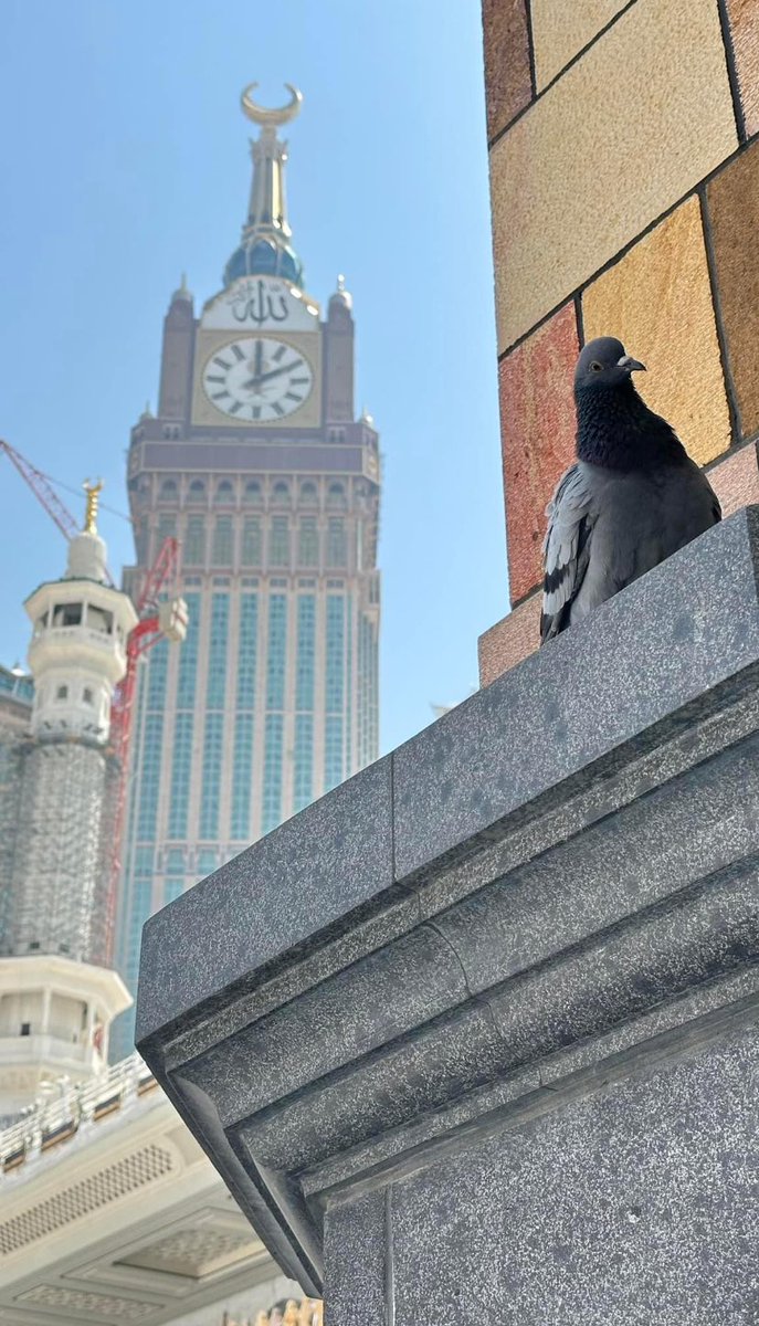 🌼🌼اللهمَّﷺ🌾🌼صَلِّﷺ🌼وَسَـــلِّمْﷺوَبَارِكﷺْ🌻علىﷺنَبِيِّنَـــا🌼ﷺمُحمَّدﷺ-🌼🕌🌿