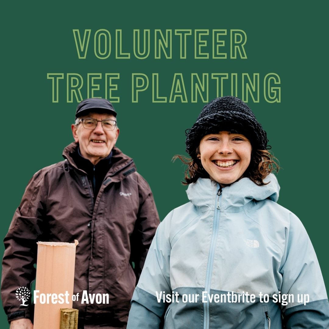 We’ve got volunteering opportunities available every week leading up to Christmas - and in the spirit of the season of giving, why not give a little back to nature!🌱
⁠
👉️ Visit our Eventbrite page to explore volunteering opportunities and sign up: eventbrite.co.uk/o/forest-of-av…