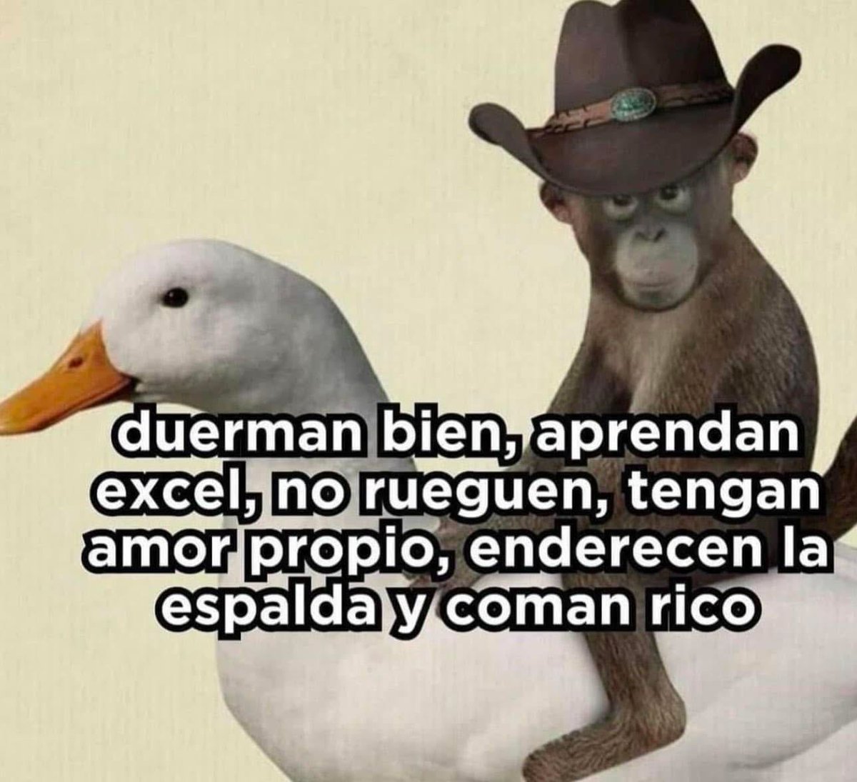 Duerman.