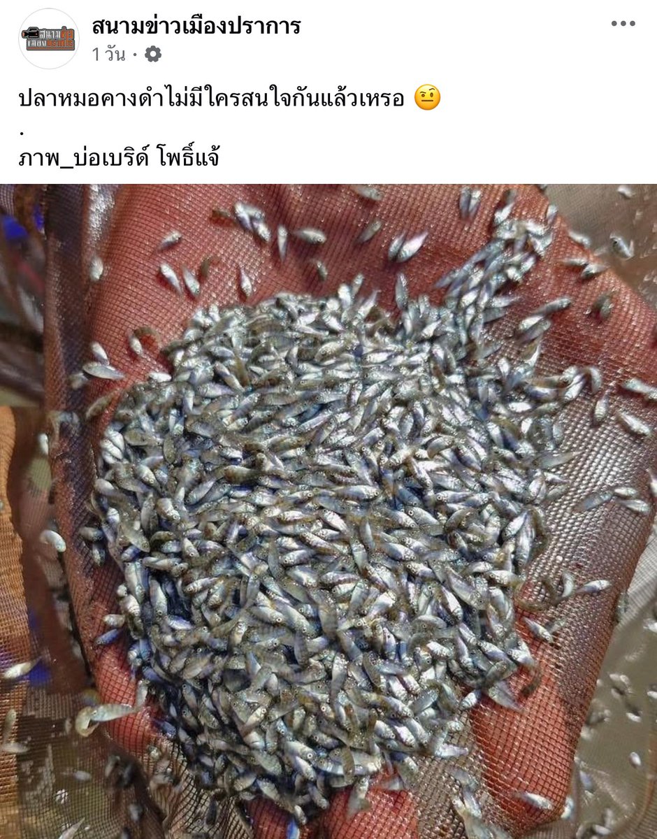 janthawoot's tweet photo. ประชาชนยังสนใจอยู่มีแต่สำนักข่าวและรัฐบาลเฮงซวยนั้นแหละที่มันไม่สนใจ https://t.co/etiF810OC1