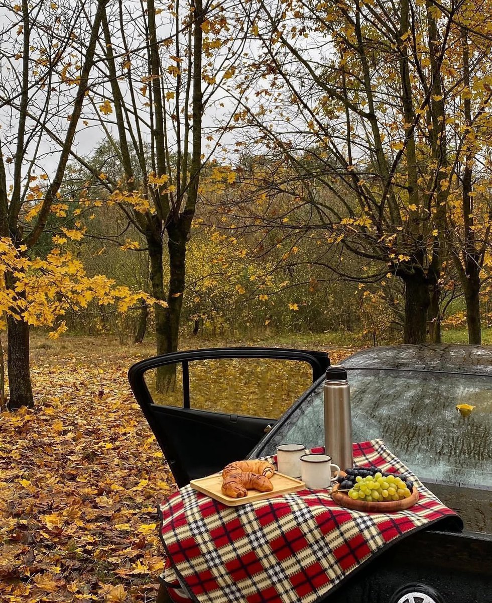 حياة ☕️🎧🌷 tweet media