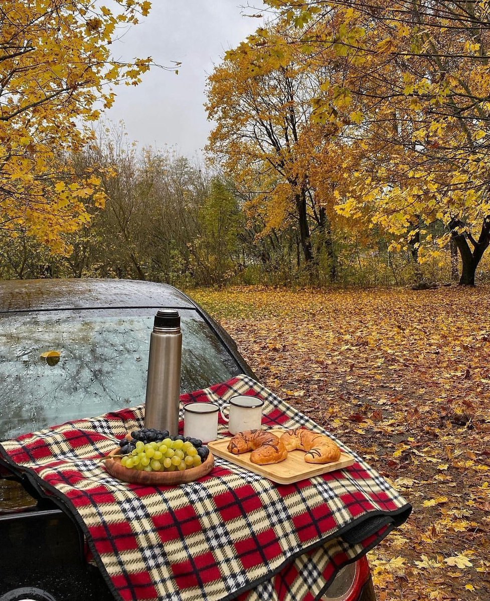 حياة ☕️🎧🌷 tweet media