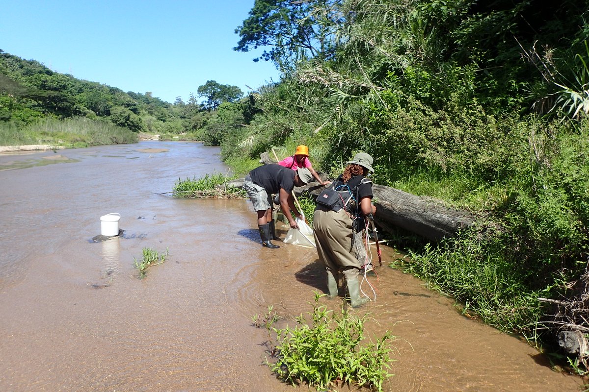Valentin de Mazancourt tweet media