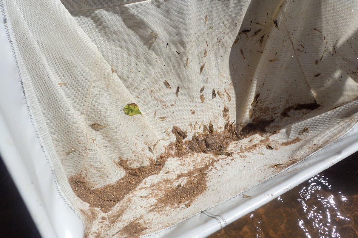 Valentin de Mazancourt tweet media