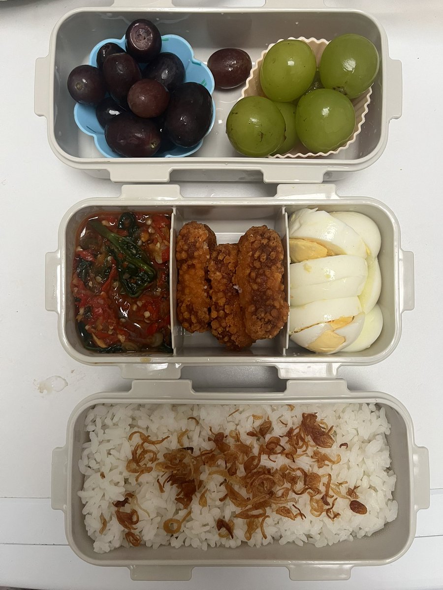 ayusuwar's tweet photo. Kompilasi bekal suamikkk ✨✨ https://t.co/CxTbEA3KS9