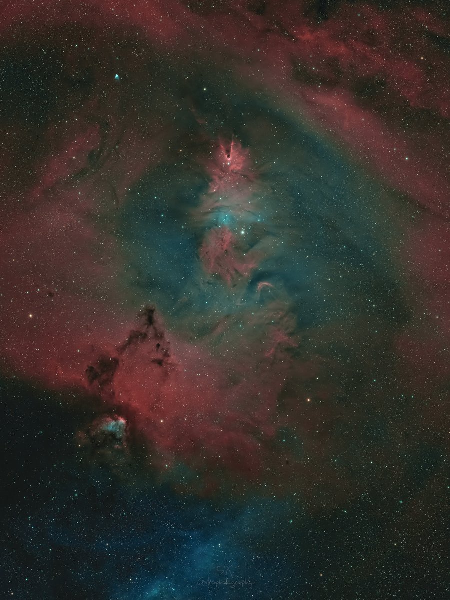 sixdfx's tweet photo. 🎄NGC 2264 est une nébuleuse située dans la constellation de la Licorne. Elle est composée de la nébuleuse du Cône et de l'amas de l'Arbre de Noël.
Image réalisée avec 4h30 d'acquisition principalement la nuit dernière et filtre Optolong L-Ultimate #Astrophotography https://t.co/j3Kpa2m62G