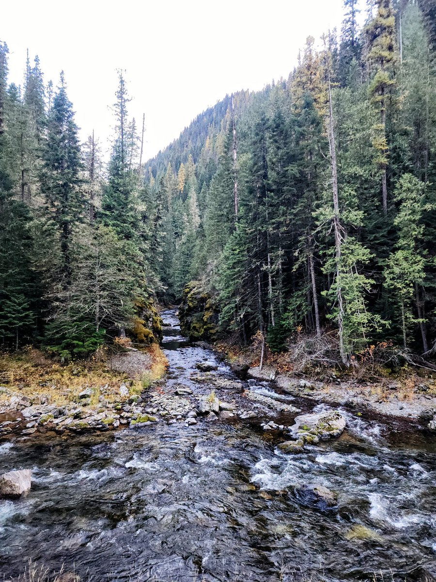 #nature
#NaturePhotography #thursdayvibes #thursdaymood #landscapephotography