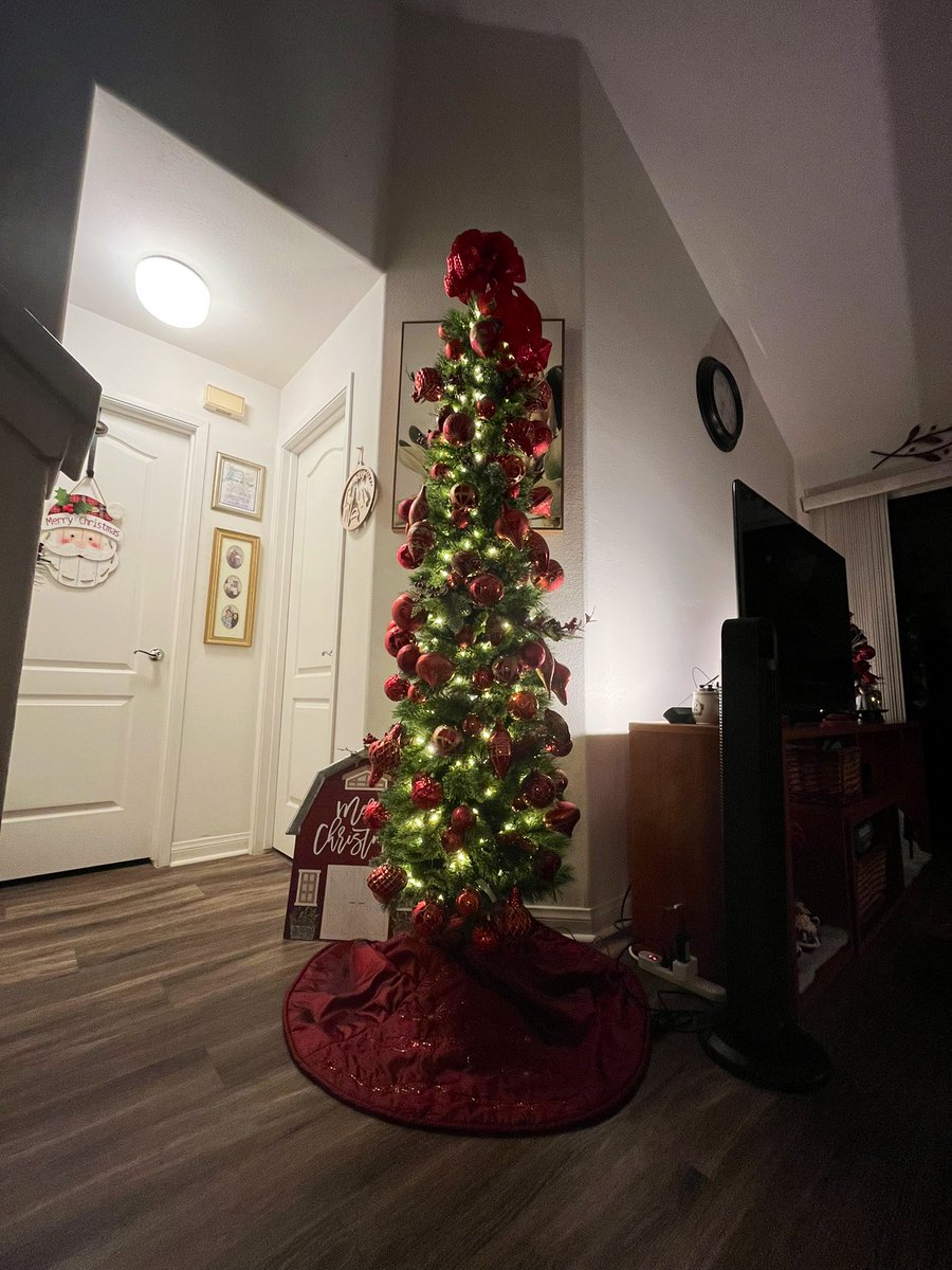 raylols's tweet photo. @jaephens ozempic tree households stand awp!!! (love ur moms color scheme might need to steal it next year) https://t.co/WLIz4Q1XQ0