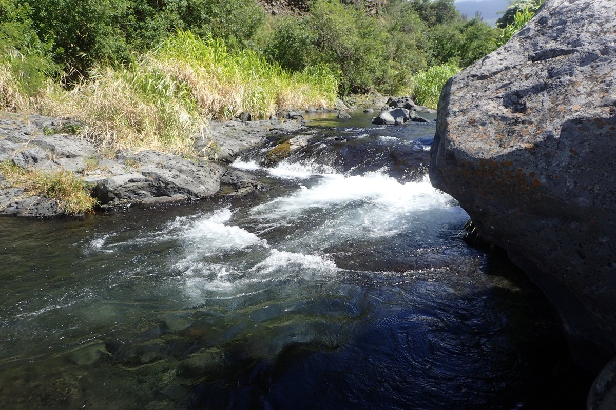 Valentin de Mazancourt tweet media