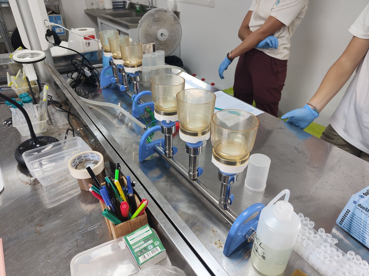 Valentin de Mazancourt tweet media