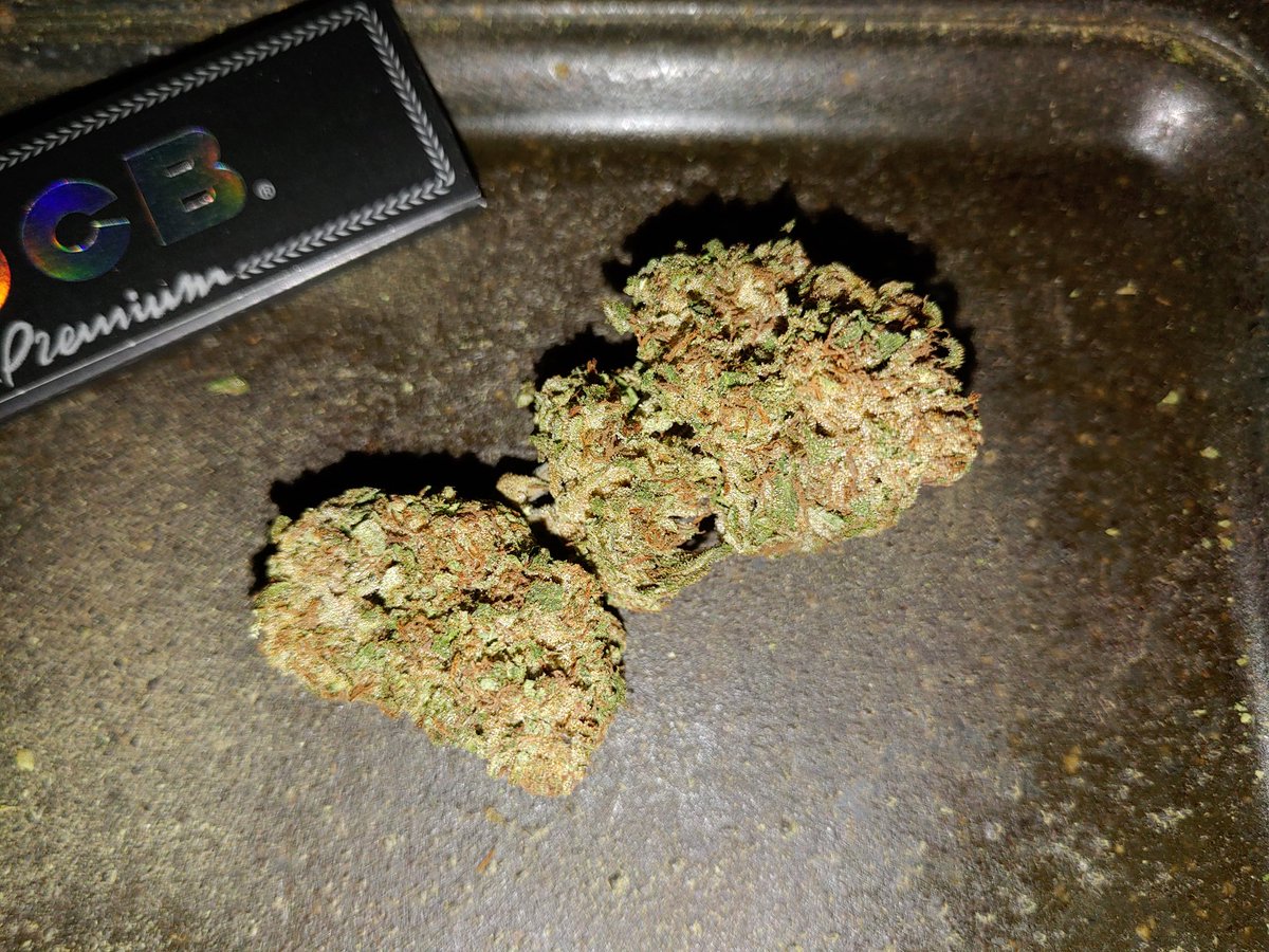 only1wayneking's tweet photo. Should rename Fritter Glitter just to Greasy Glitter... cured nearly 60 days this shit is some dank stank with a ballpark buzz! ๐ฑ๐ฅ๐๐ฅณ
If you dig heavy & a box checker hit up Exotic Genetix! ๐ค
Wish I'd grown more instead of Ethos
#GrowYourOwn #BioBuds https://t.co/tsYLcwvabV
