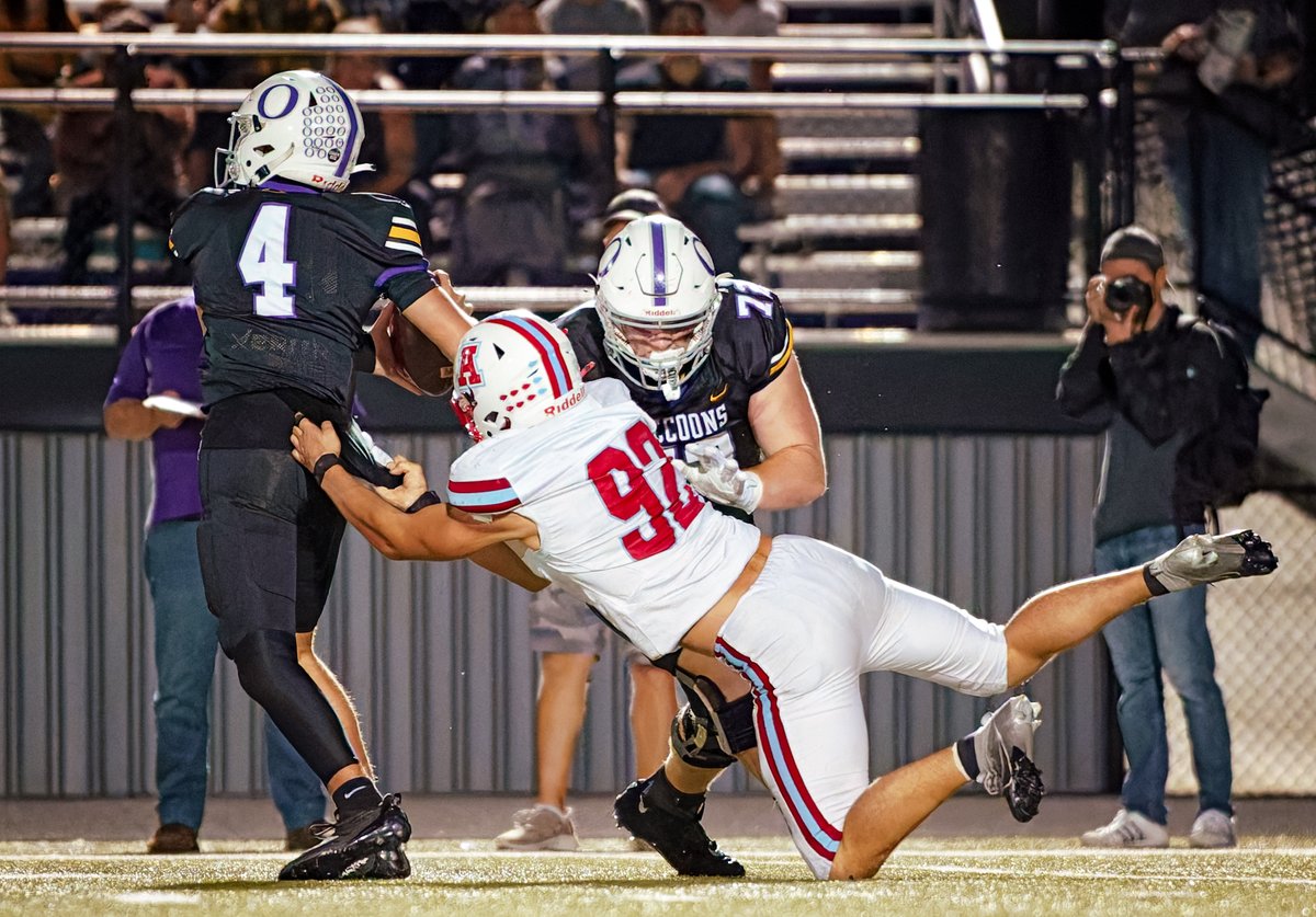 Shelly Lotz tweet media