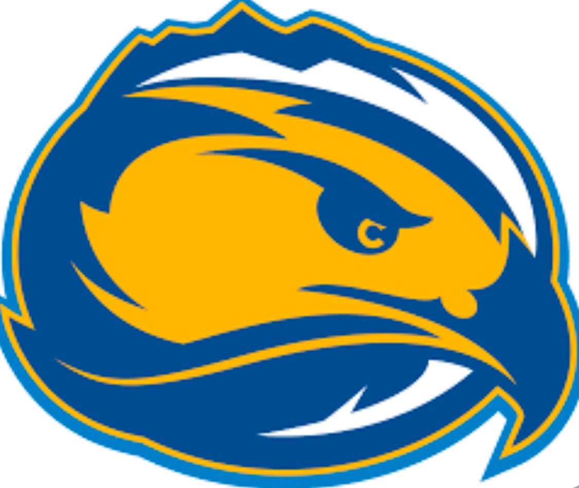 Alec slesinger-Hall tweet media