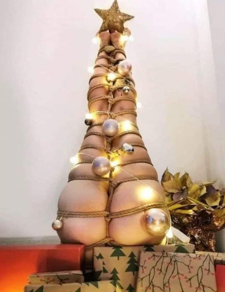 OmiGlez08's tweet photo. Merry Christmas 🎄 https://t.co/ixUxWehHKc