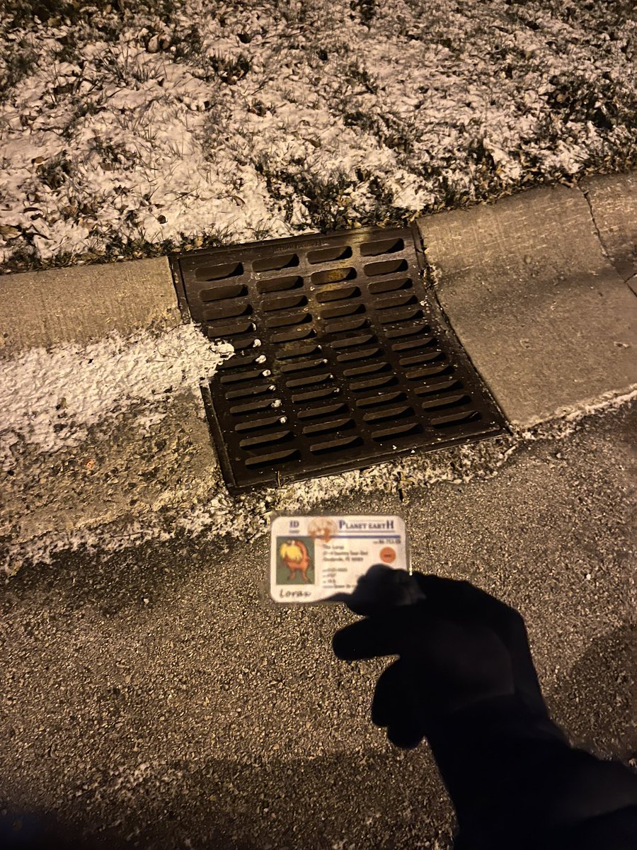 CF513770apes's tweet photo. Found the Storm Drain and had to stop and think about the water systems in Franklin #apeswater @franklinlorax https://t.co/EFBk6gDnks