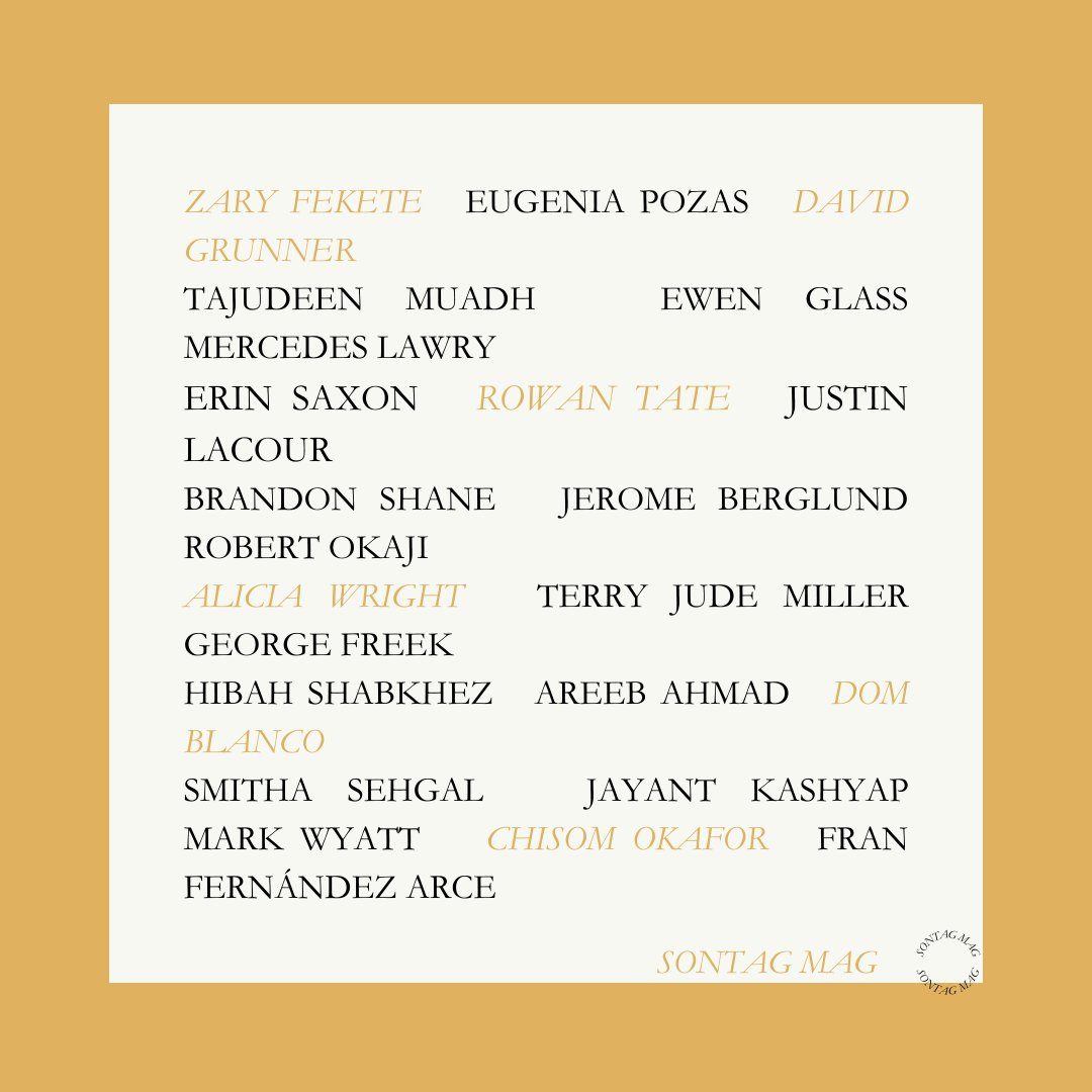 Sontag Mag tweet media