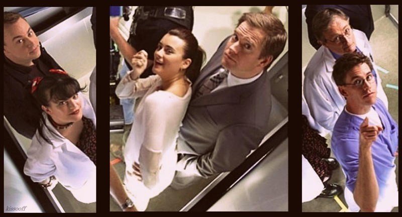 MariaJoseGlobal's tweet image. #NCIS #TeamGibbs