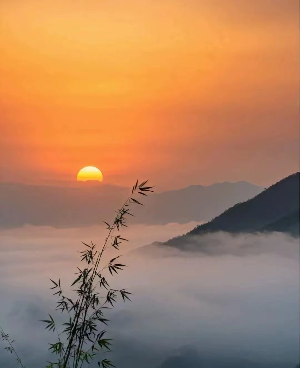 949 天珠 上質 山景天珠 山水天珠 dzibeads！！ 949 天珠 上質 山景天