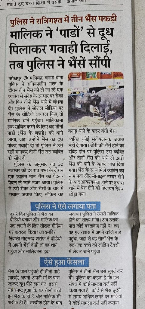 BalveerTeja's tweet photo. बनाड(जौधपुर) में पुलिस ने रात्रिगस्त में तीन भैंस ले जाते एक आदमी को पकडा 
फिर भैंसो के वीडियो बनाके वायरल किये।
भैंस के असली मालिक ने पाडे चूंगा के भैंसें उसकी होने की तस्दीक की और पुलिस ने भैंसें असली मालिक को सौंप दी
ऐसी जीवट कर्मठ पुलिसकर्मियों को सलाम रहेगा
@PoliceRajasthan https://t.co/iFybdqUj4T