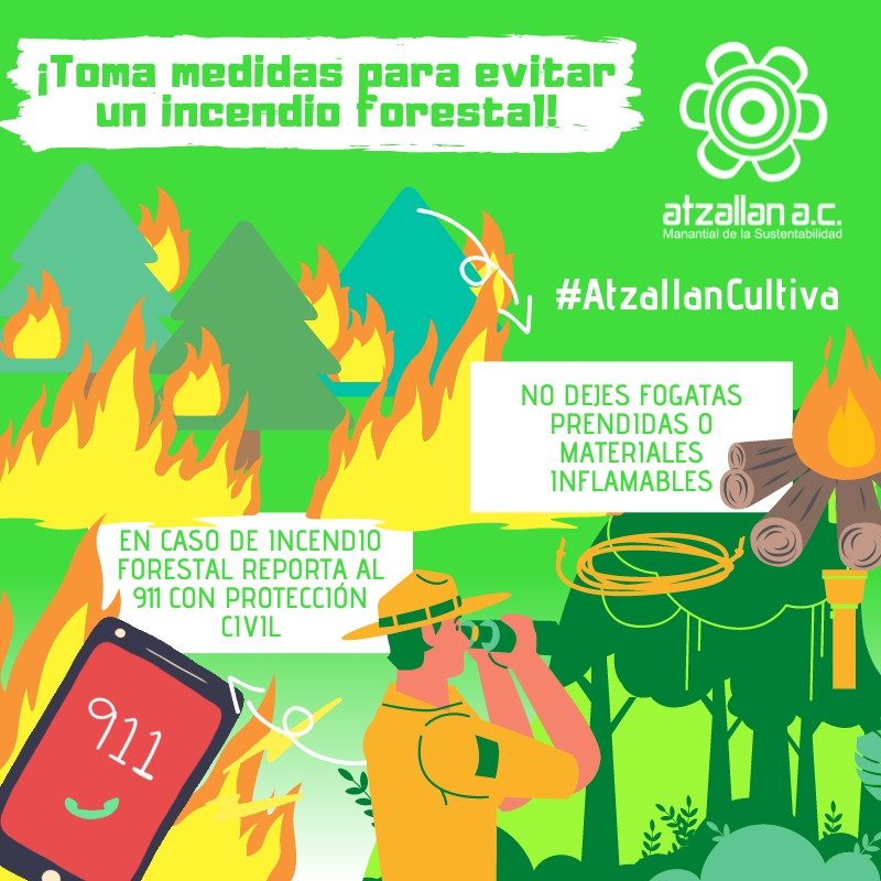 ¡Toma medidas para evitar un incendio forestal!
#EcoAcciones #AtzallanCultiva 📲🌲🔥🌳🍂
✅ Para saber más: atzallan.org/incendios-fore…
🌐🍃 Conoce más y súmate: atzallan.org