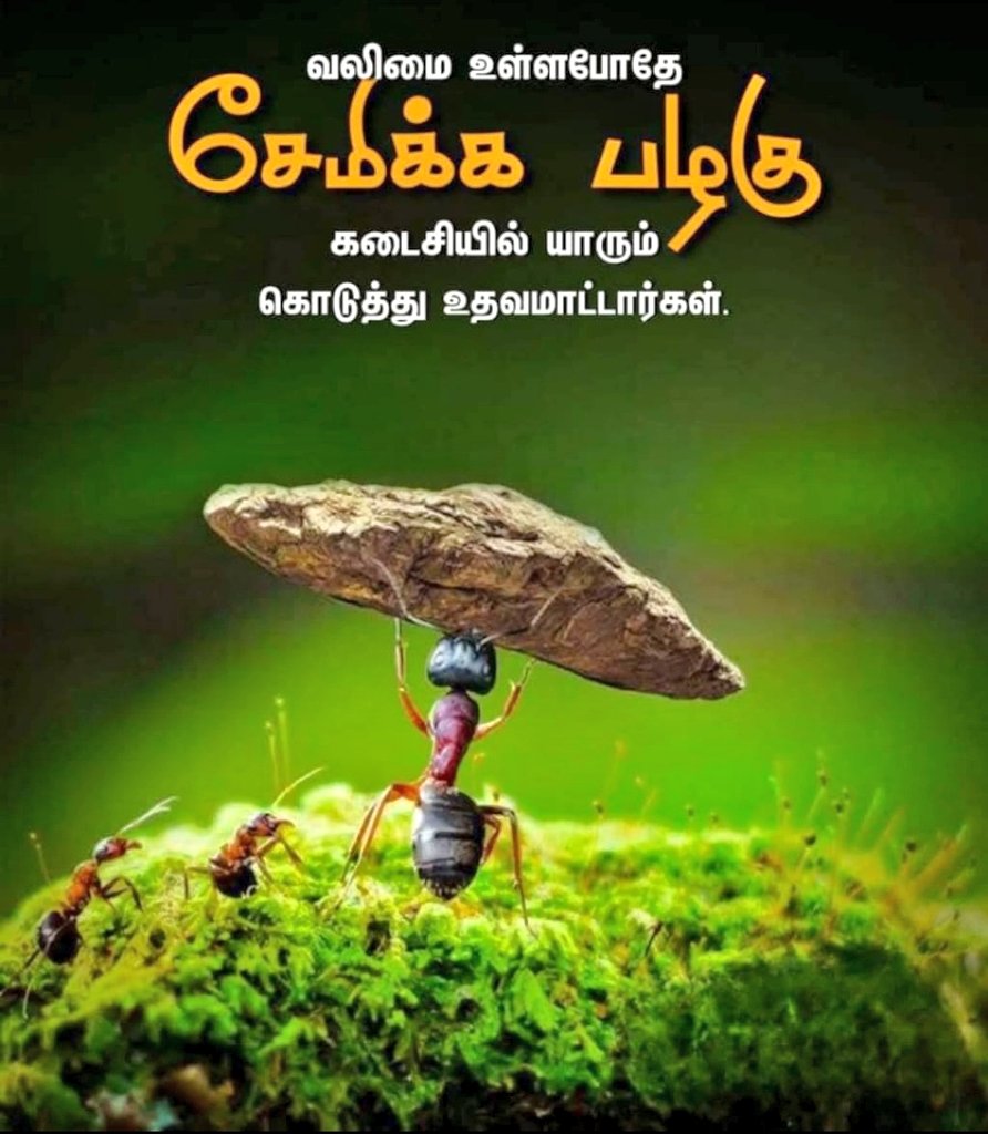 nhanand's tweet photo. Quote of day..
#சேமிப்பு https://t.co/dZGsLQVg0U