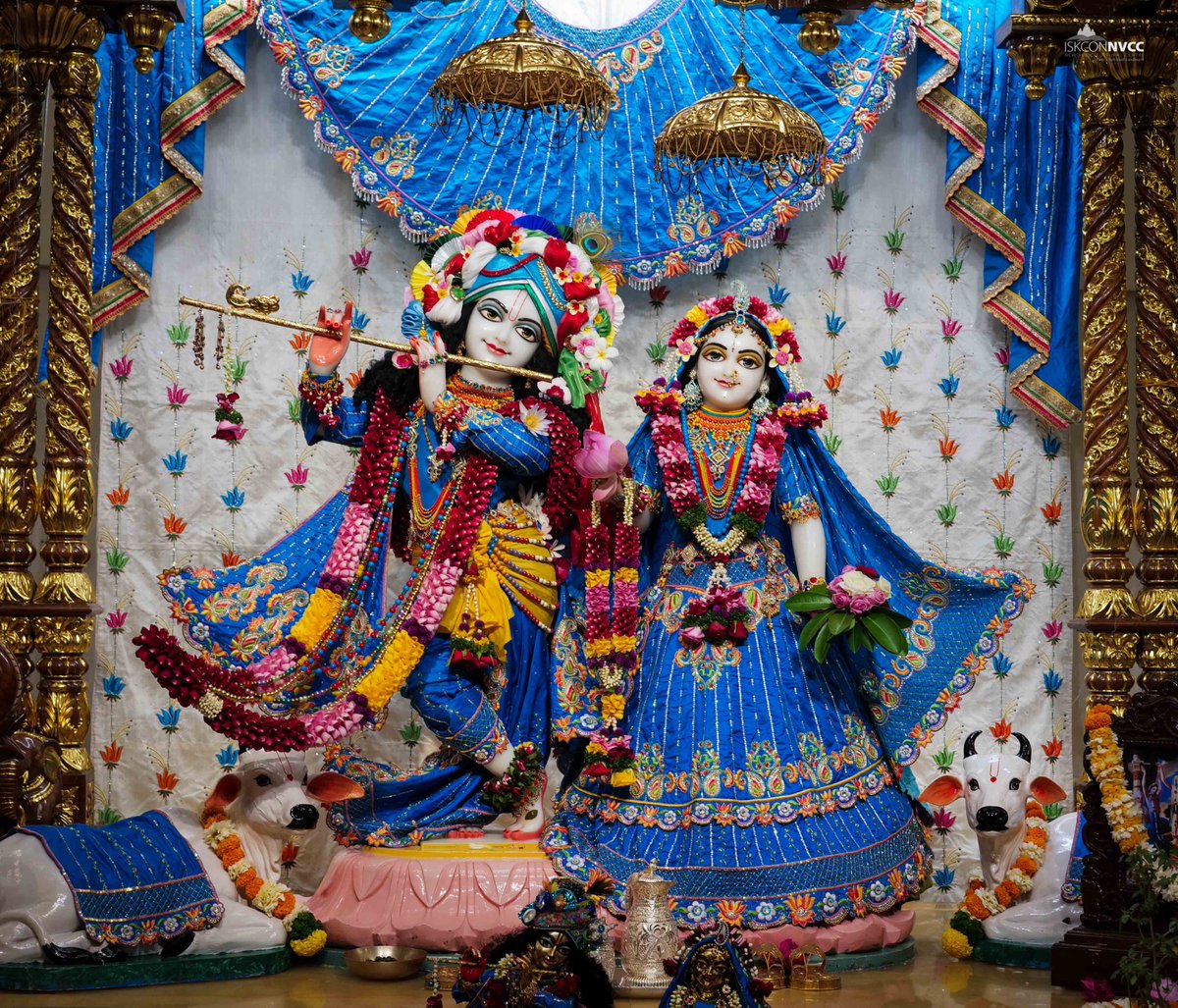 ISKCONPune's tweet photo. 🙏🏽Today's Darshan 📿 🗓05-12-2024🙏
🌷Sri Sri Radhavrindavanchandra🌷
🚩@ISKCONNVCCPune🚩
.
.
#ISKCONNVCC #ISKCONPune #ISKCONNVCCPune #ISKCON #5thdecember #5thdecember2024 #Thursday #Harinaamsankirtan #Radheshyamdas #Radheradhe #Sankirtan #Kirtan #Vrindavan #Mayapur #Prabhupada https://t.co/zyPM1uIZSX