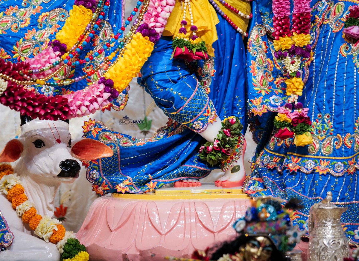 ISKCONPune's tweet photo. 🙏🏽Today's Darshan 📿 🗓05-12-2024🙏
🌷Sri Sri Radhavrindavanchandra🌷
🚩@ISKCONNVCCPune🚩
.
.
#ISKCONNVCC #ISKCONPune #ISKCONNVCCPune #ISKCON #5thdecember #5thdecember2024 #Thursday #Harinaamsankirtan #Radheshyamdas #Radheradhe #Sankirtan #Kirtan #Vrindavan #Mayapur #Prabhupada https://t.co/zyPM1uIZSX