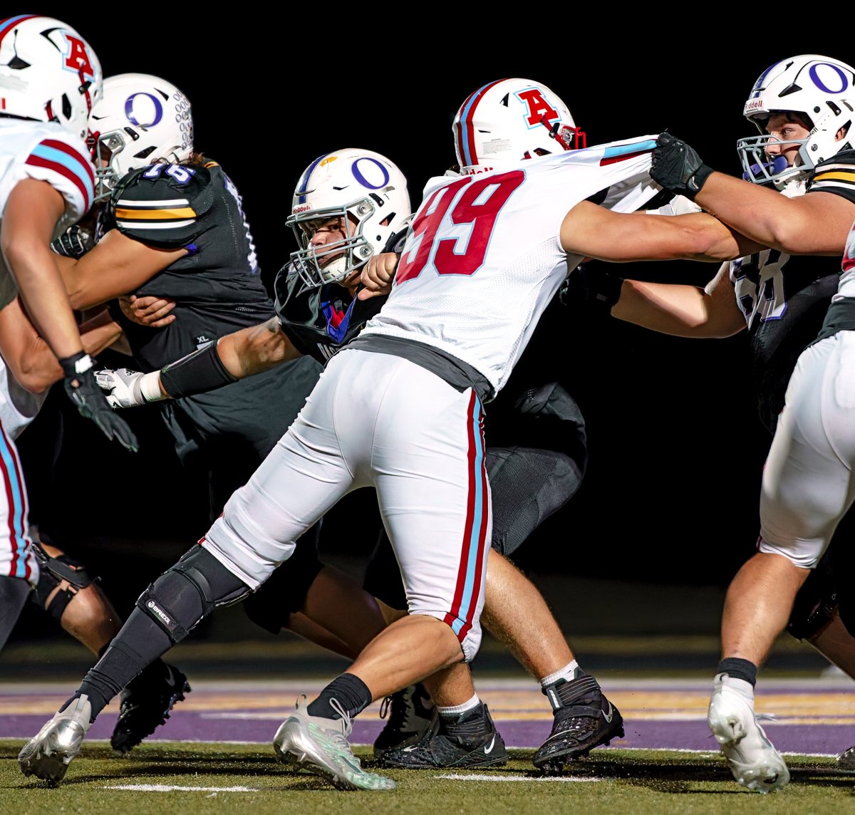 Shelly Lotz tweet media