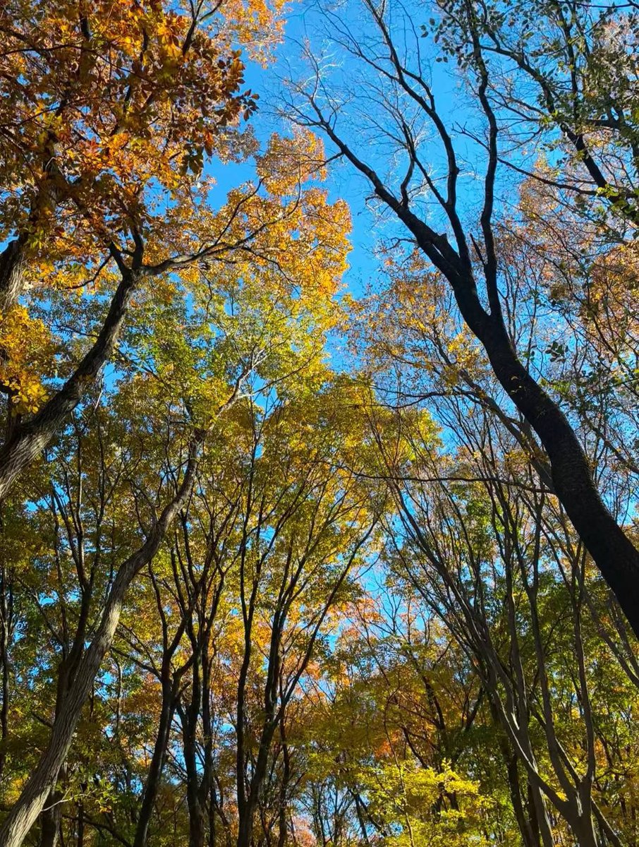 M20230724's tweet photo. 心を癒す旅🫧
群馬の藤岡方面にはあんまり行かないけど、山頂の景色に魅了されたよ🥰
#日本 #japan #travel #群馬県 #藤岡 #旅 #gunma #fujioka #大学生 #群馬大学 #東京大学 #gundaigfl https://t.co/ZzTzzp7A8T