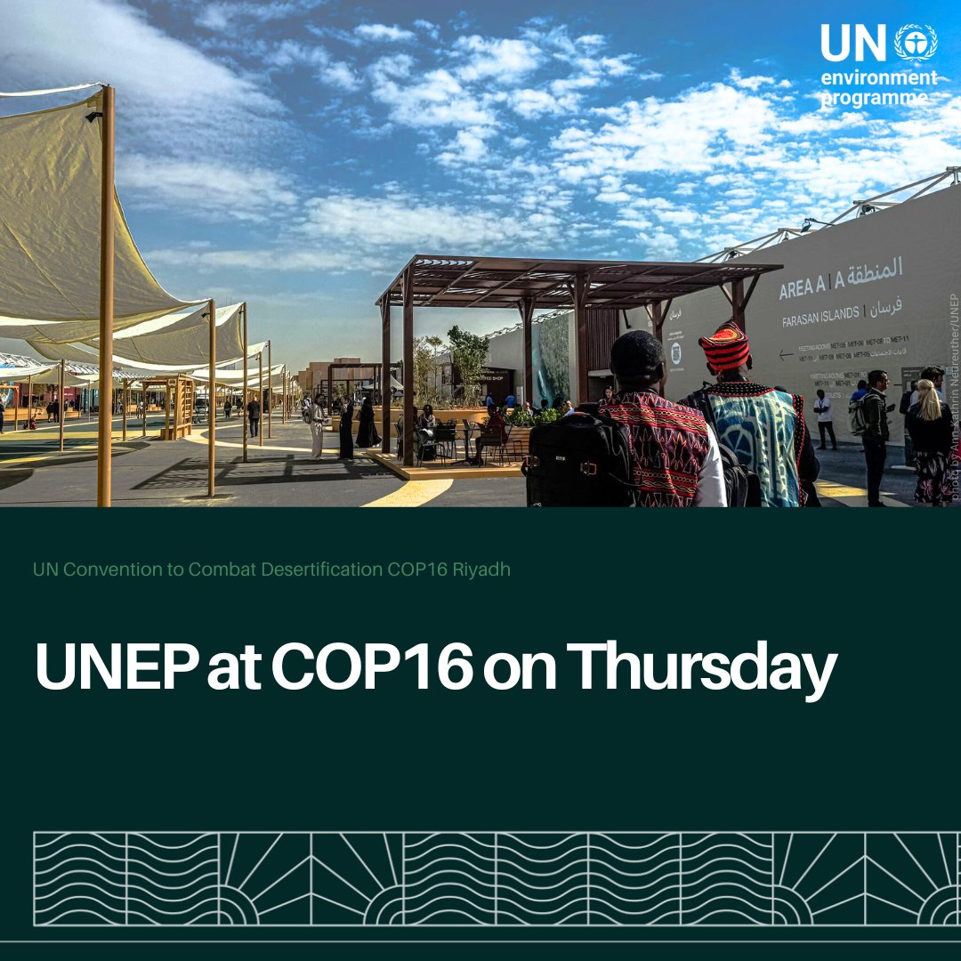 Thursday is Agri-food System Day at #COP16Riyadh. Don’t miss UNEP events on the role of academic institutions in preventing land degradation, the Great Green Wall Youths Caravan #ForNature, soil health + more.

More details &amp; other updates are here: unep.org/news-and-stori…