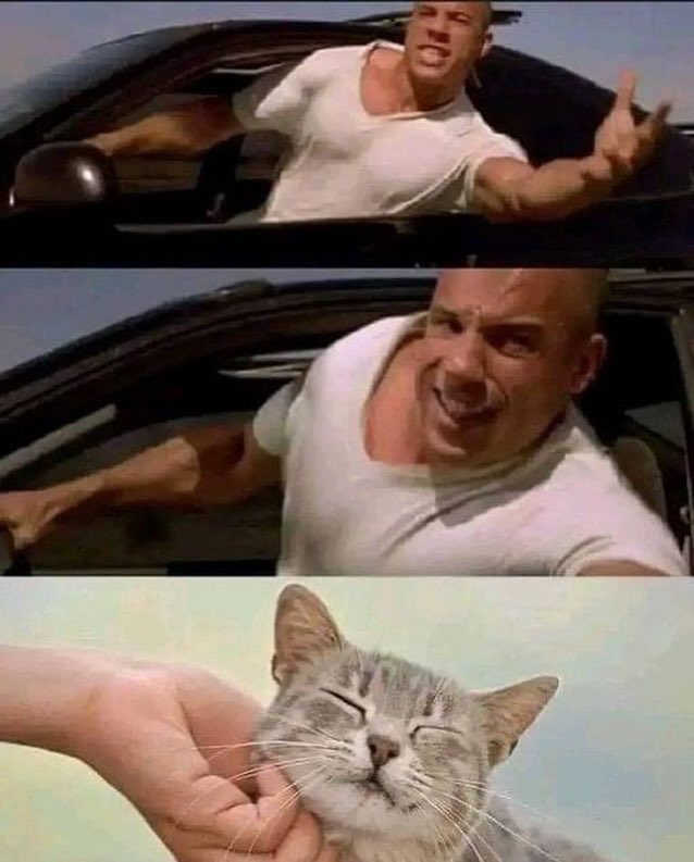 Punch Cat (@punchingcat) on Twitter photo 