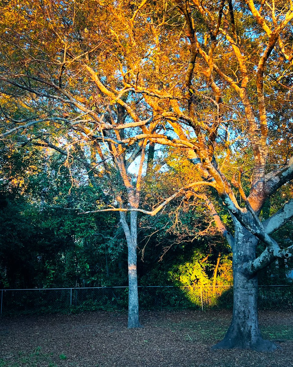 Stephanie Hartley tweet media