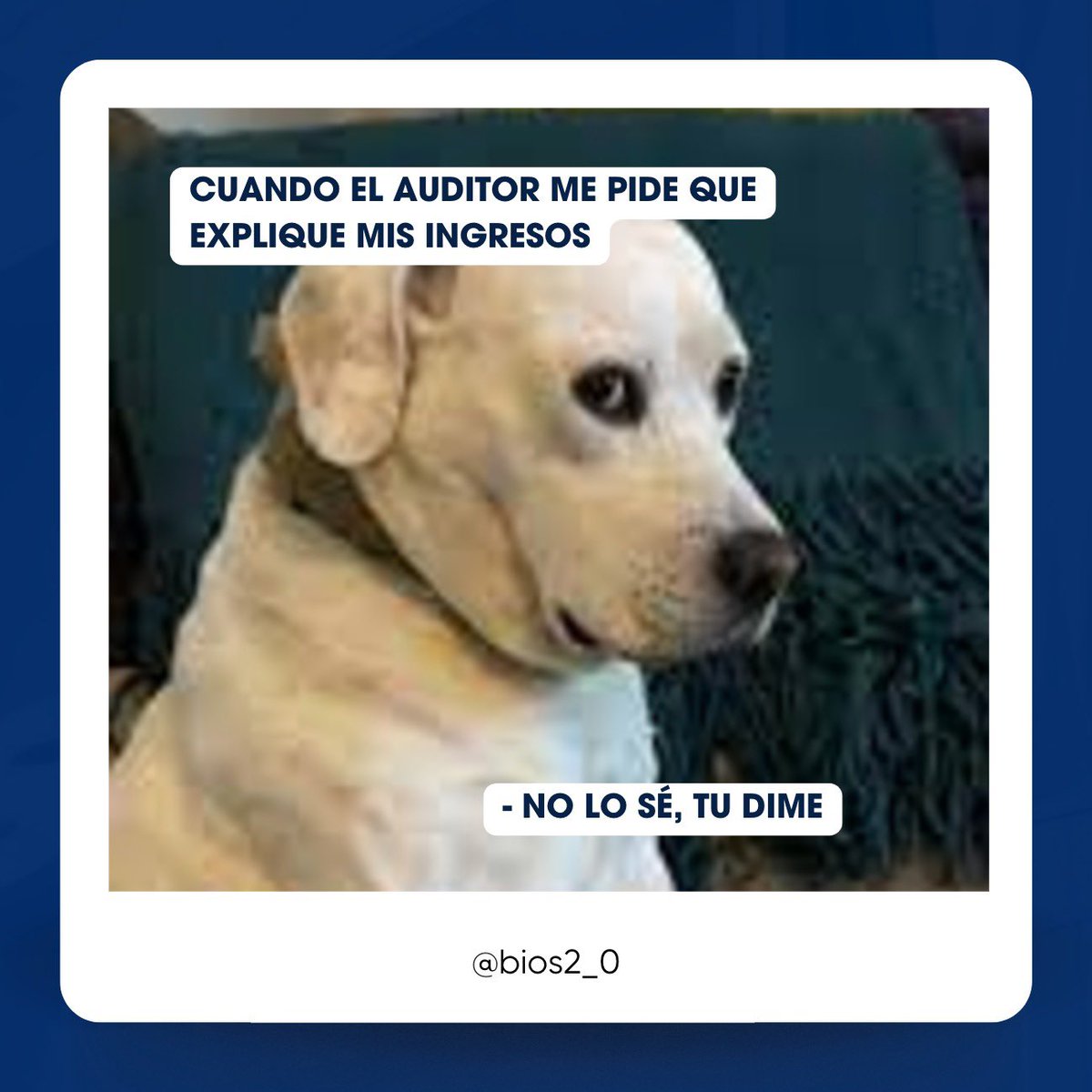 bios2_0's tweet photo. Sabemos que manejar las finanzas puede ser un caos sin las herramientas adecuadas.
Pero no te preocupes, con BIOS llevarás el control como un experto (y sin caras raras 😅)

#BIOS #Finanzase #Meme https://t.co/yqrABWDJ2l
