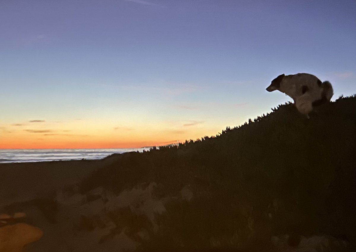 Jeff Hache tweet media