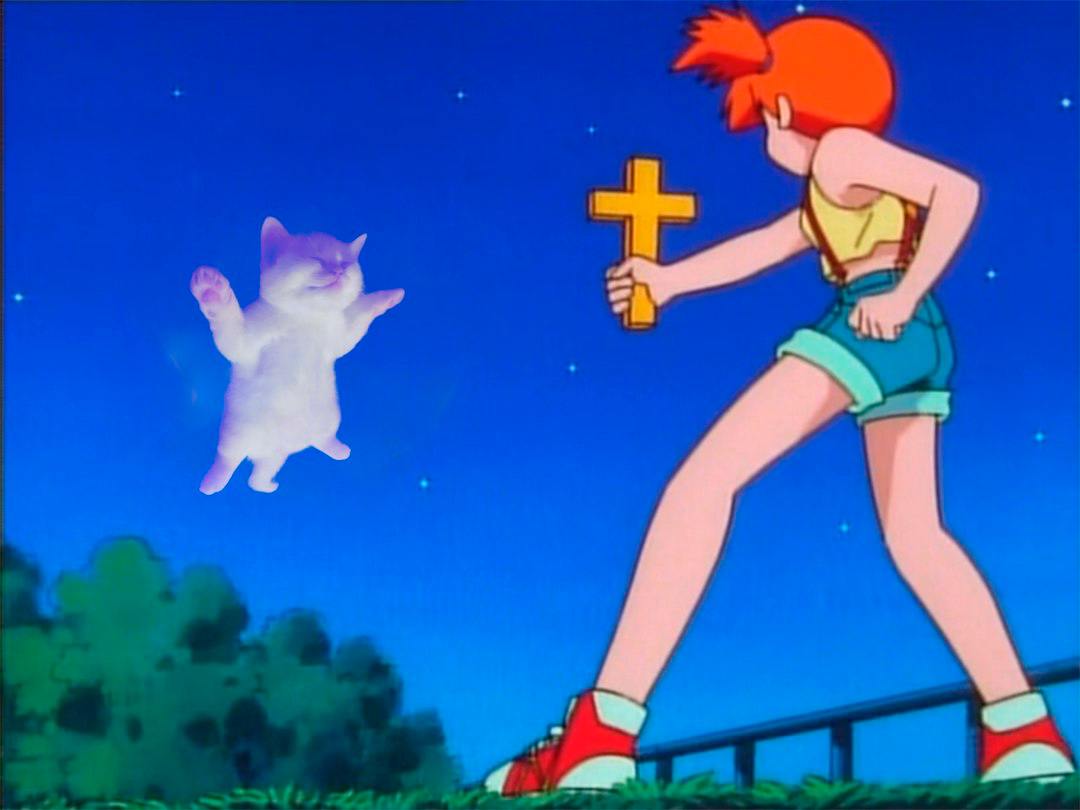 $DED CAT tweet media