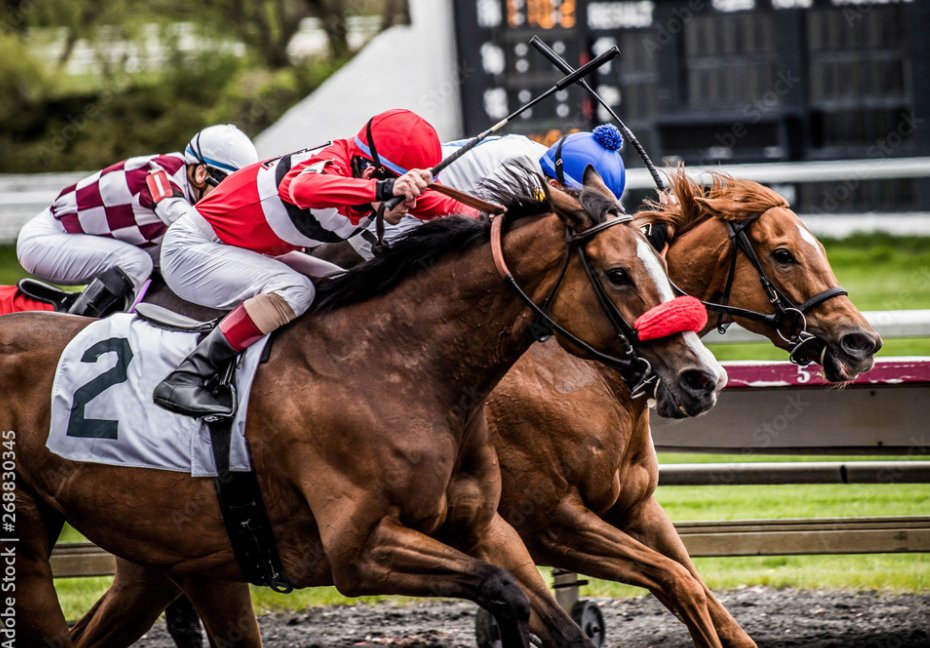 HCHorseRacing's tweet image. You play with virtual money in an across the board contest (Win/Place/Show). Highest score wins! handicapcontests.com #horseracing #harnessracing

Automated scoring with updated scores after each race! Win cash prizes at one of our cash handicapping contests! Join today!