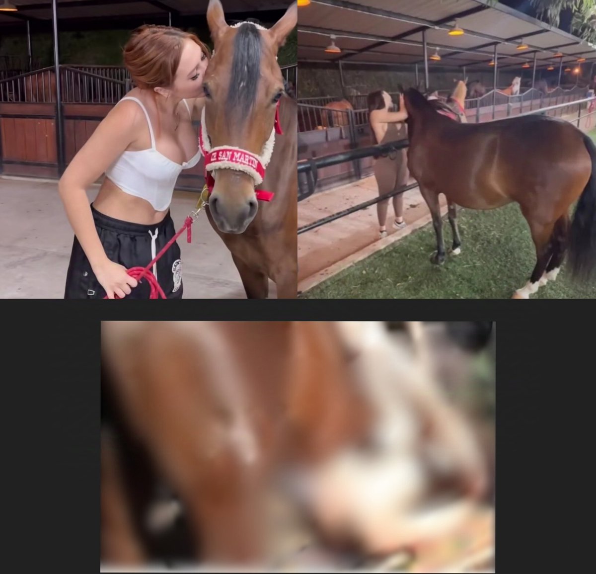 Sp0iledTrin's tweet photo. 😜Aída Victoria Merlano horse video leaked in twitter⬇️⬇️
https://t.co/r5hYWMfNBo https://t.co/W45H3sTUPm